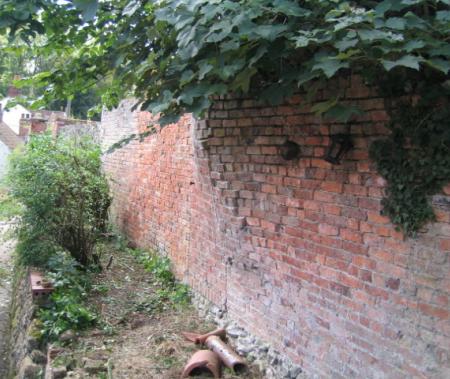 more areas of overgrown raised beds